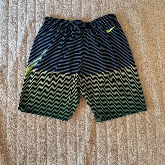 Nike Men's Horizon Stripe Vital 9 Inch Volley Swim Shorts - Size Large. - Picture 2 of 7
